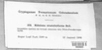 Image Associated With the Occurence